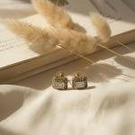 Elegant Earring Ensemble