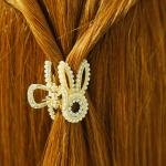 Chic Claw Clip