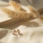 TESTT Aura Hoops  - Bundle of 5 Earrings